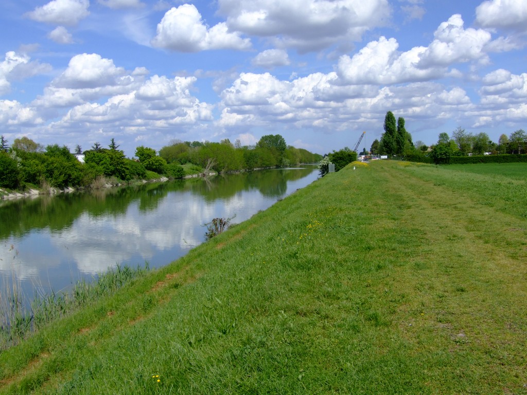 DSCF4967