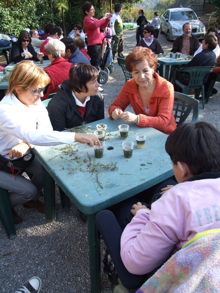 DSCF4616